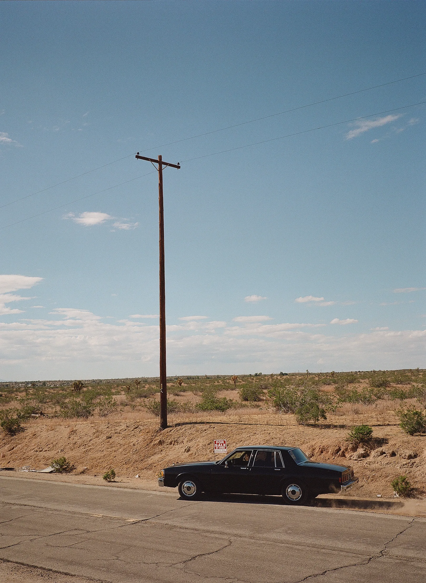 Woolrich